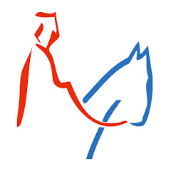 App-Icon der Bamberg App